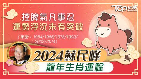 2024肖豬|2024蘇民峰龍年生肖運程｜肖豬紅鸞正桃花 攬盡吉星 